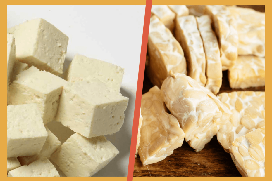 Tempeh-vs-Tofu
