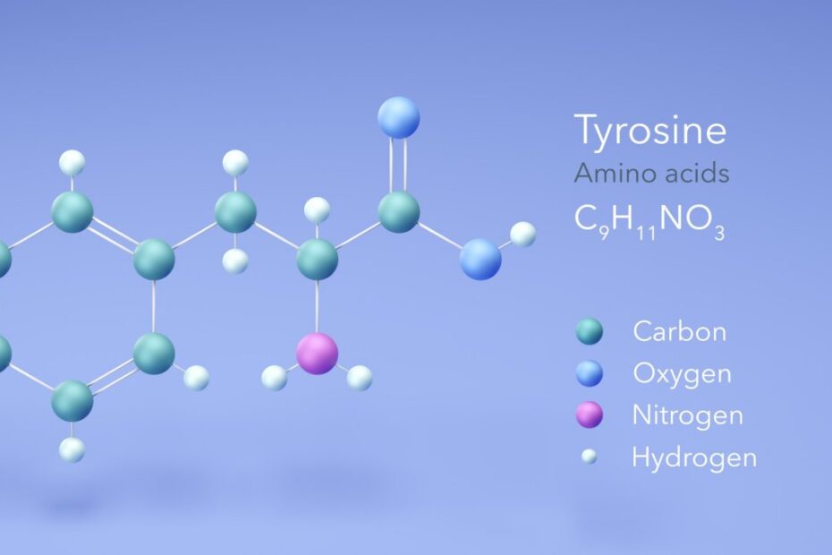 Tyrosine-amino-acid-Supplements