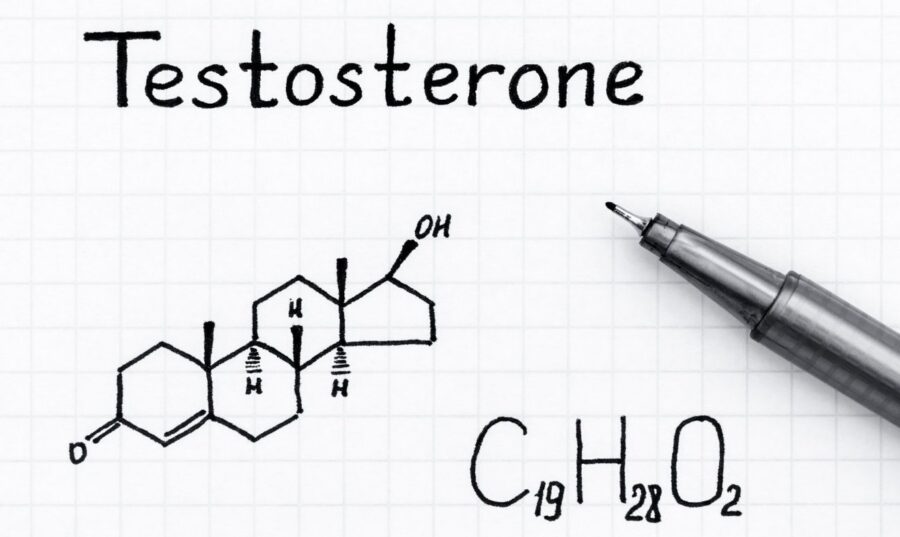 What REALLY Happens to Your Testosterone When You Masturbate? – IronMag