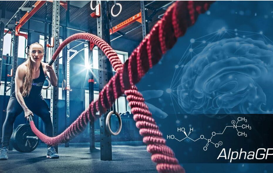 alpha-gpc