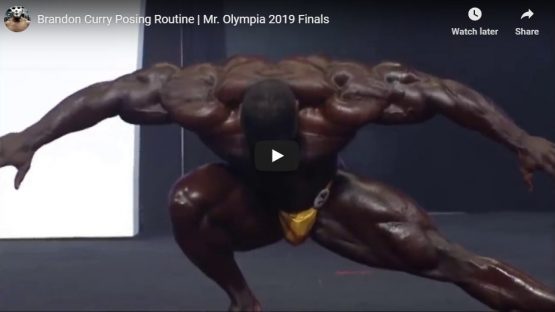 BRANDON CURRY: THE MR. OLYMPIA FOR THE NEW DECADE – IronMag Labs