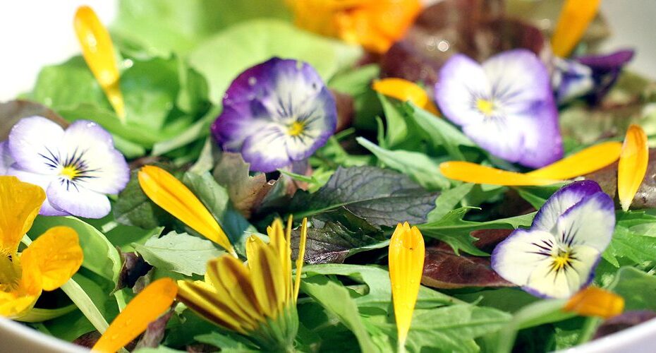 edible-flowers