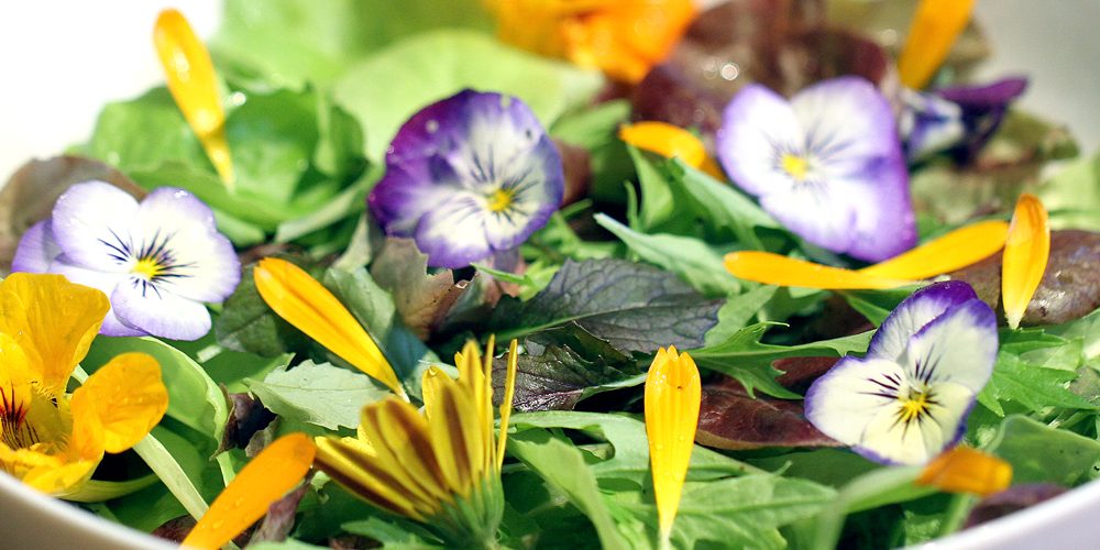 edible-flowers