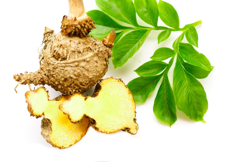 glucomannan-health-benefits