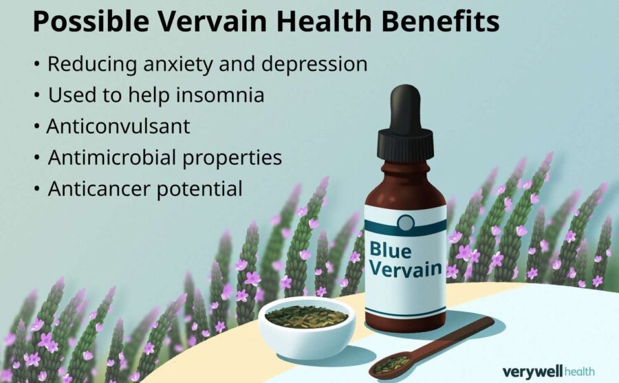 5 Surprising Health Benefits of Vervain – IronMag Labs Bodybuilding ...